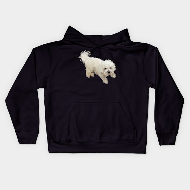 Bichon Frise Dog Kids Hoodie by Booneb